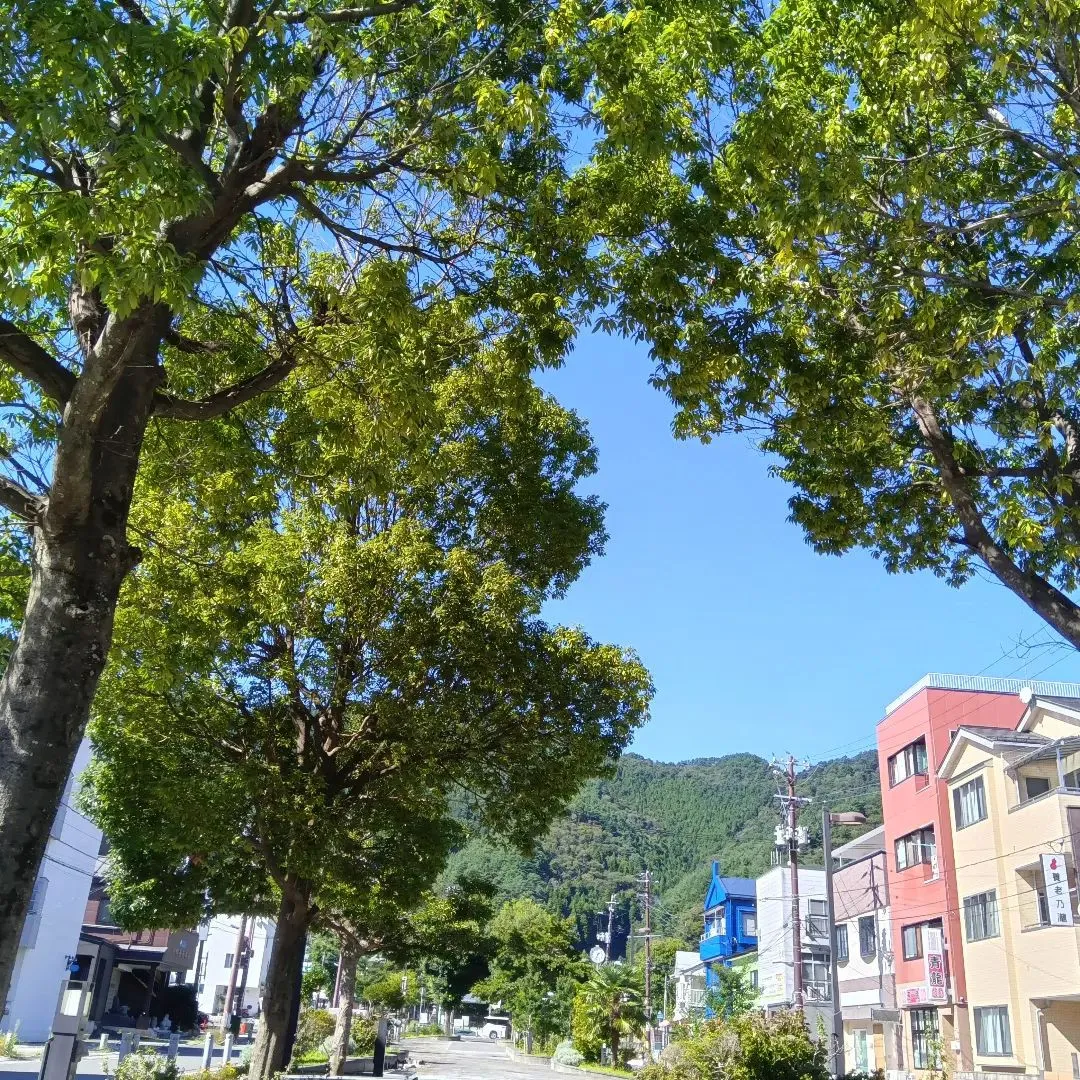 おひさま☀️クラブ お茶会