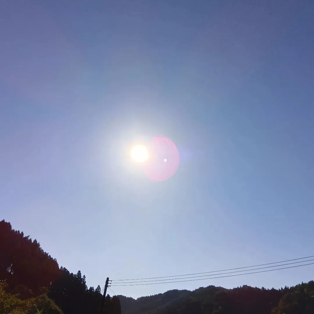 おひさま☀️お茶会